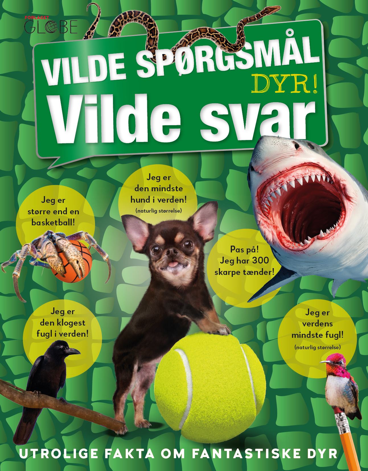 Vilde spørgsmål - Vilde svar - Dyr