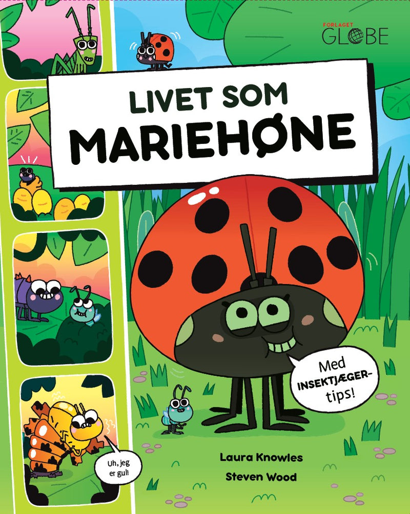 Livet som mariehøne