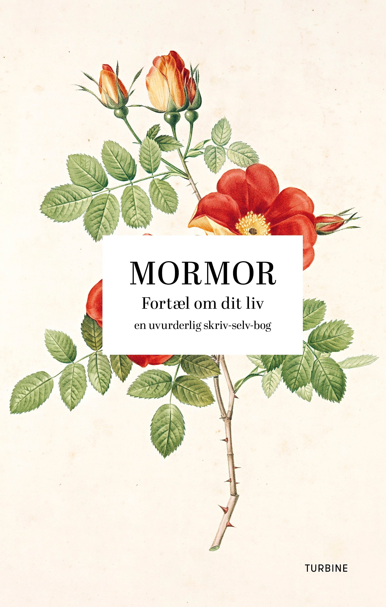 Mormor: Fortæl om dit liv