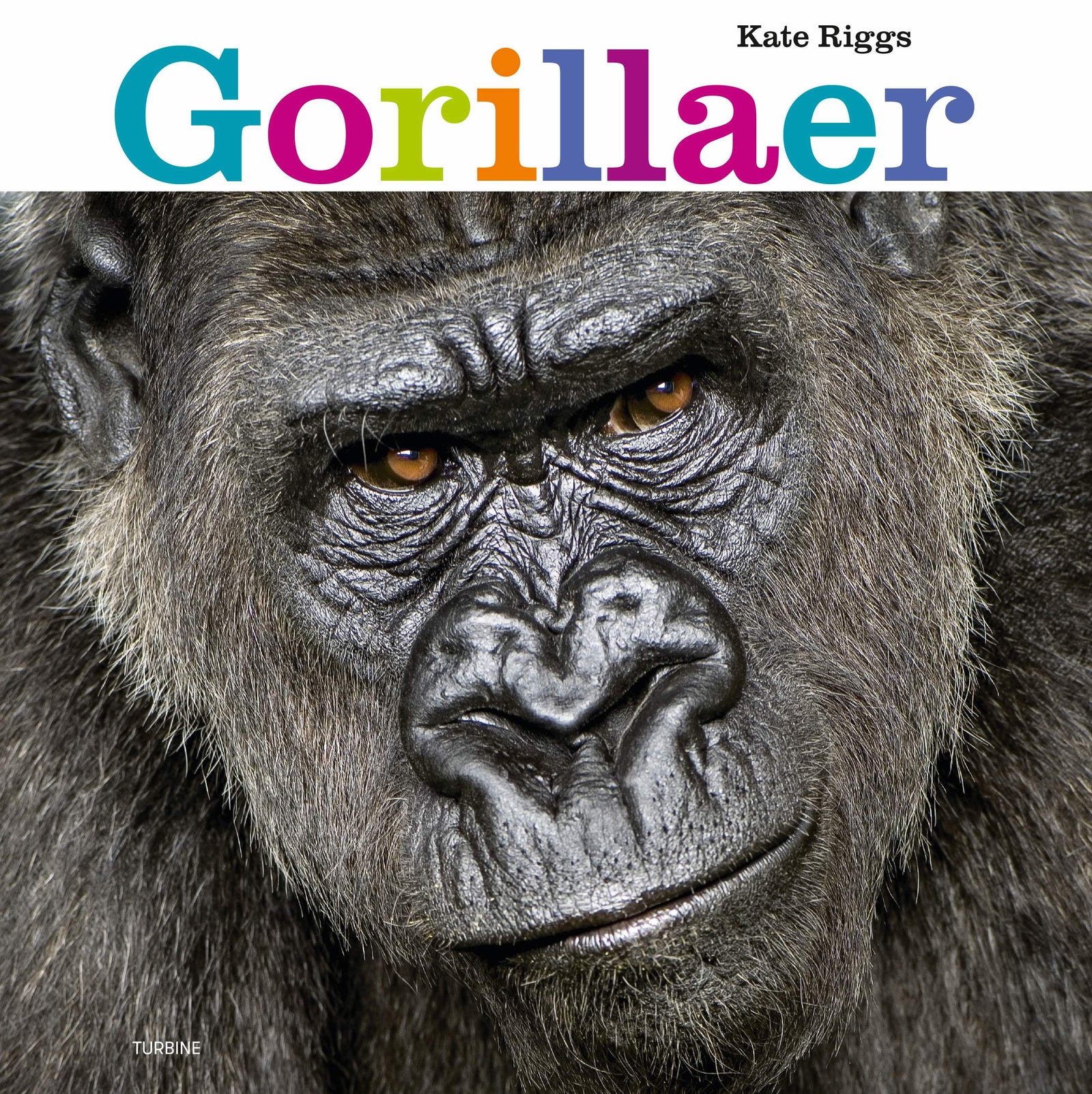Gorillaer