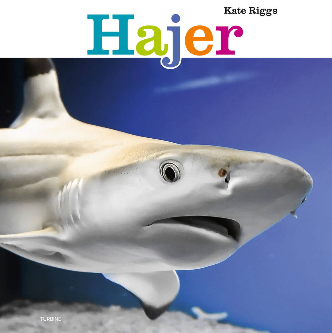 Hajer