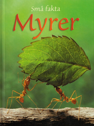 Små fakta: Myrer