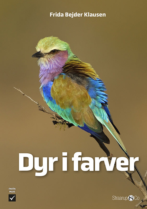 Dyr i farver