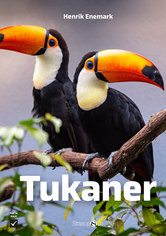 Tukaner