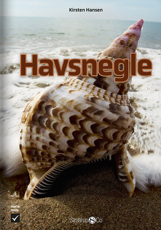 Havsnegle