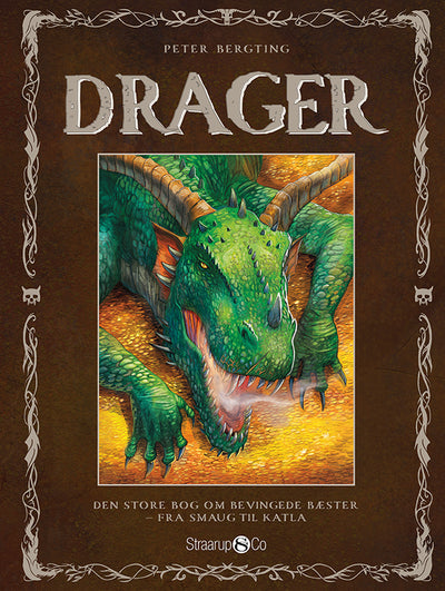 Drager - fra Smaug til Katla