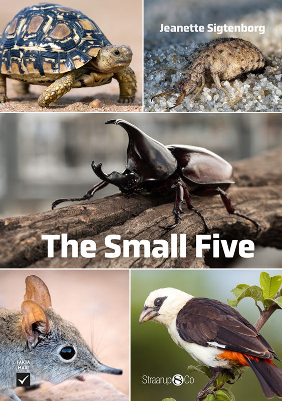 The Small Five