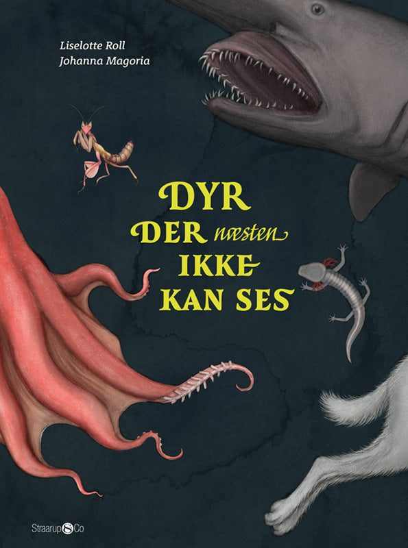 Dyr der næsten ikke kan ses
