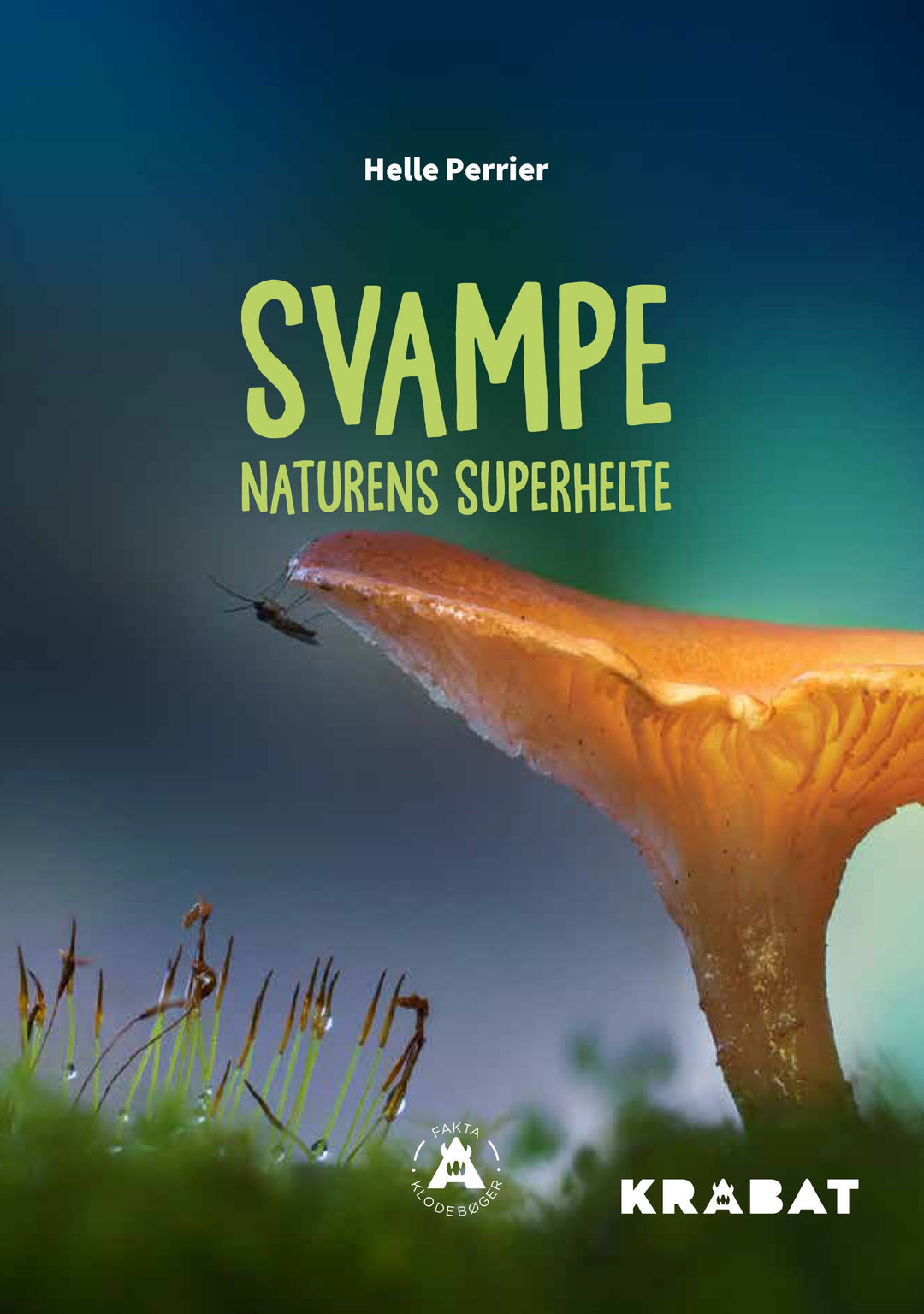 Svampe
