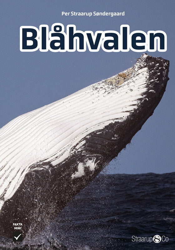 Blåhvalen