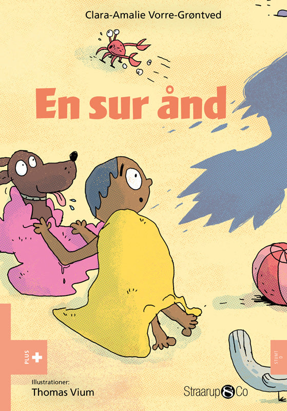 En sur ånd
