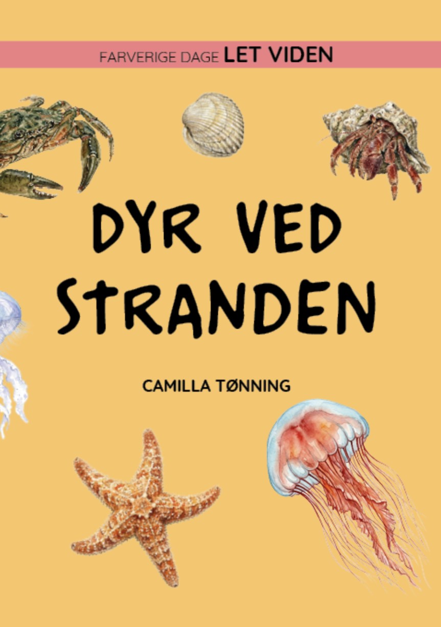 Dyr ved stranden
