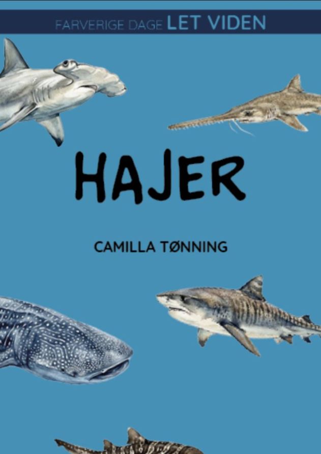 Hajer