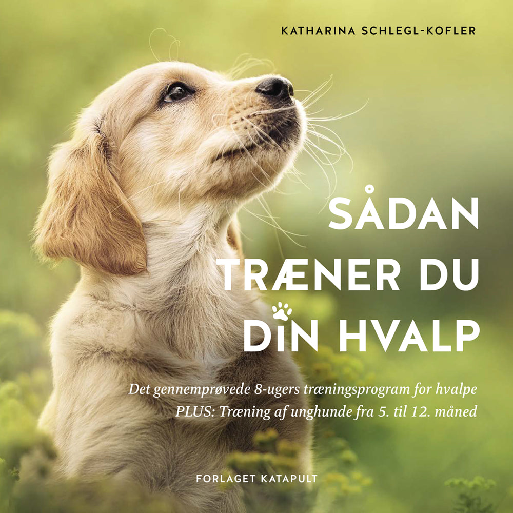 Hvalpetræning