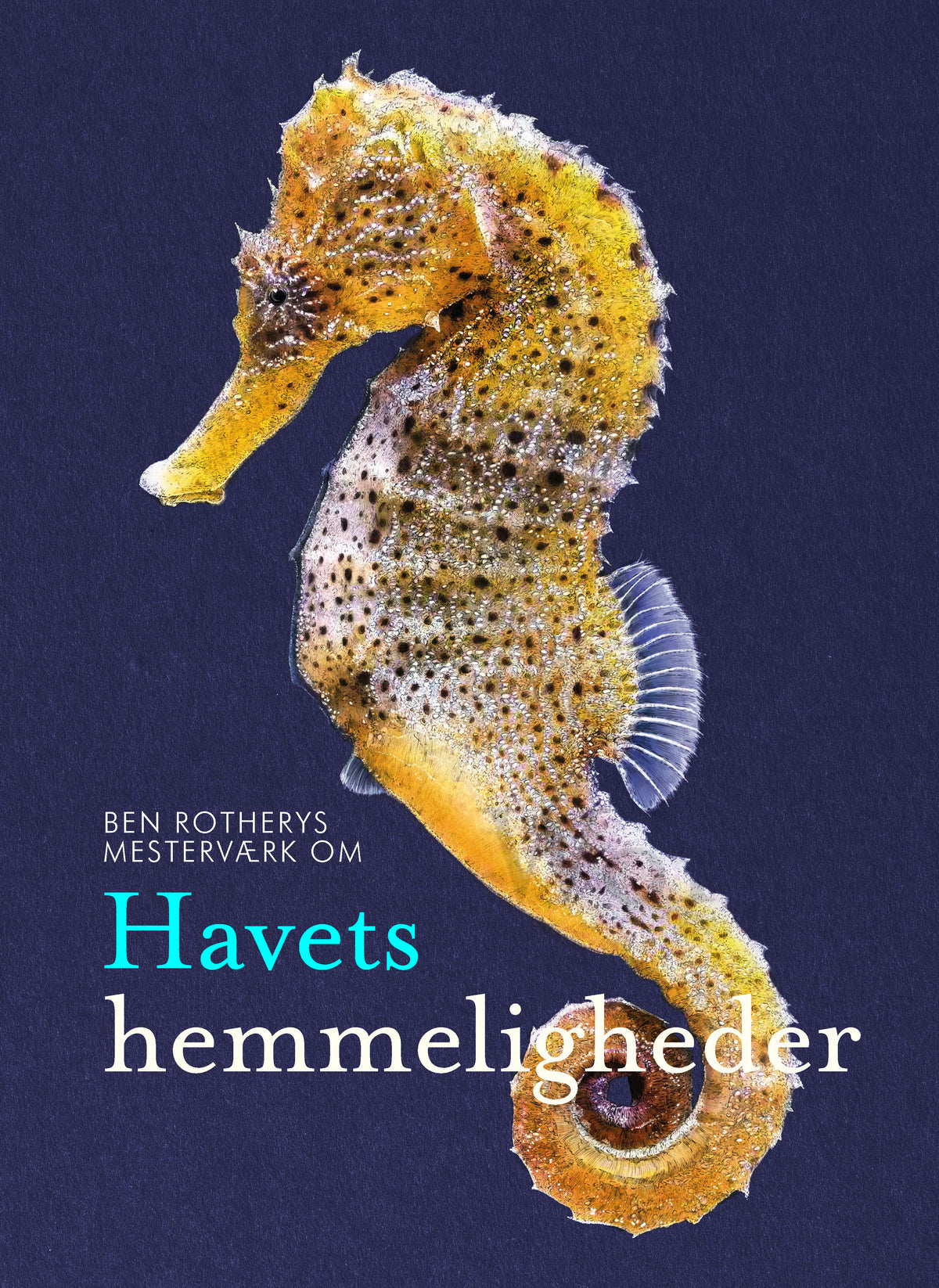 Havets hemmeligheder