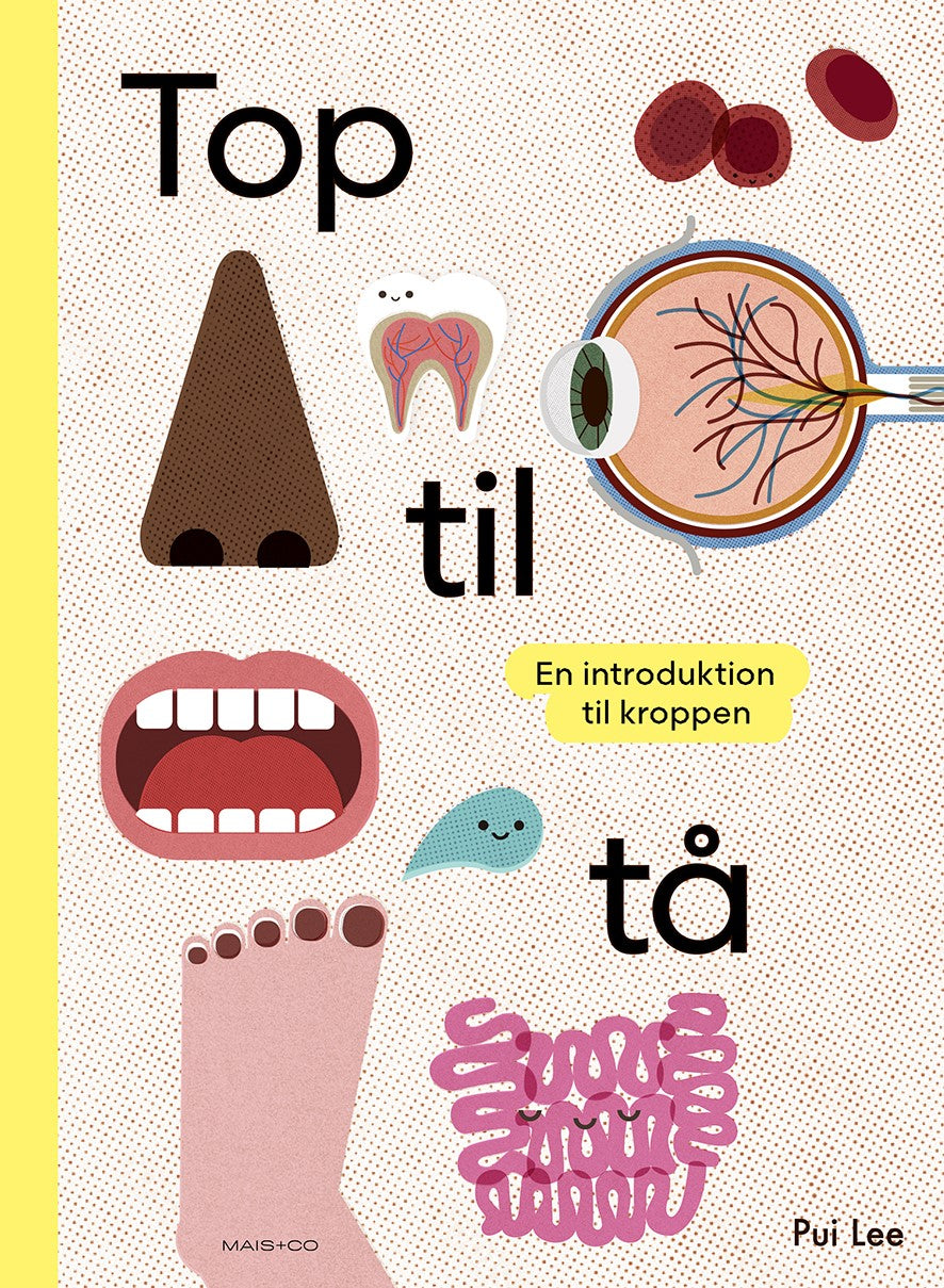 Top til tå - en introduktion til kroppen