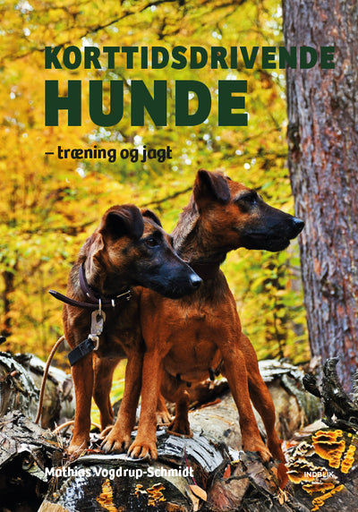 Kortidsdrivende hunde