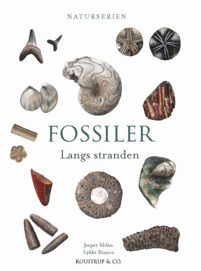 FOSSILER