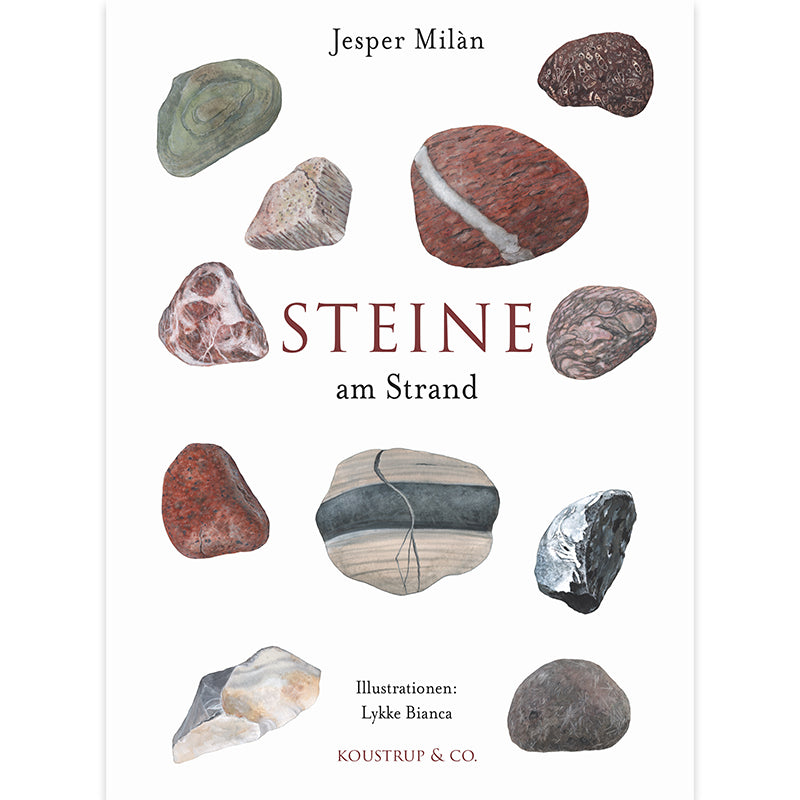 STEINE