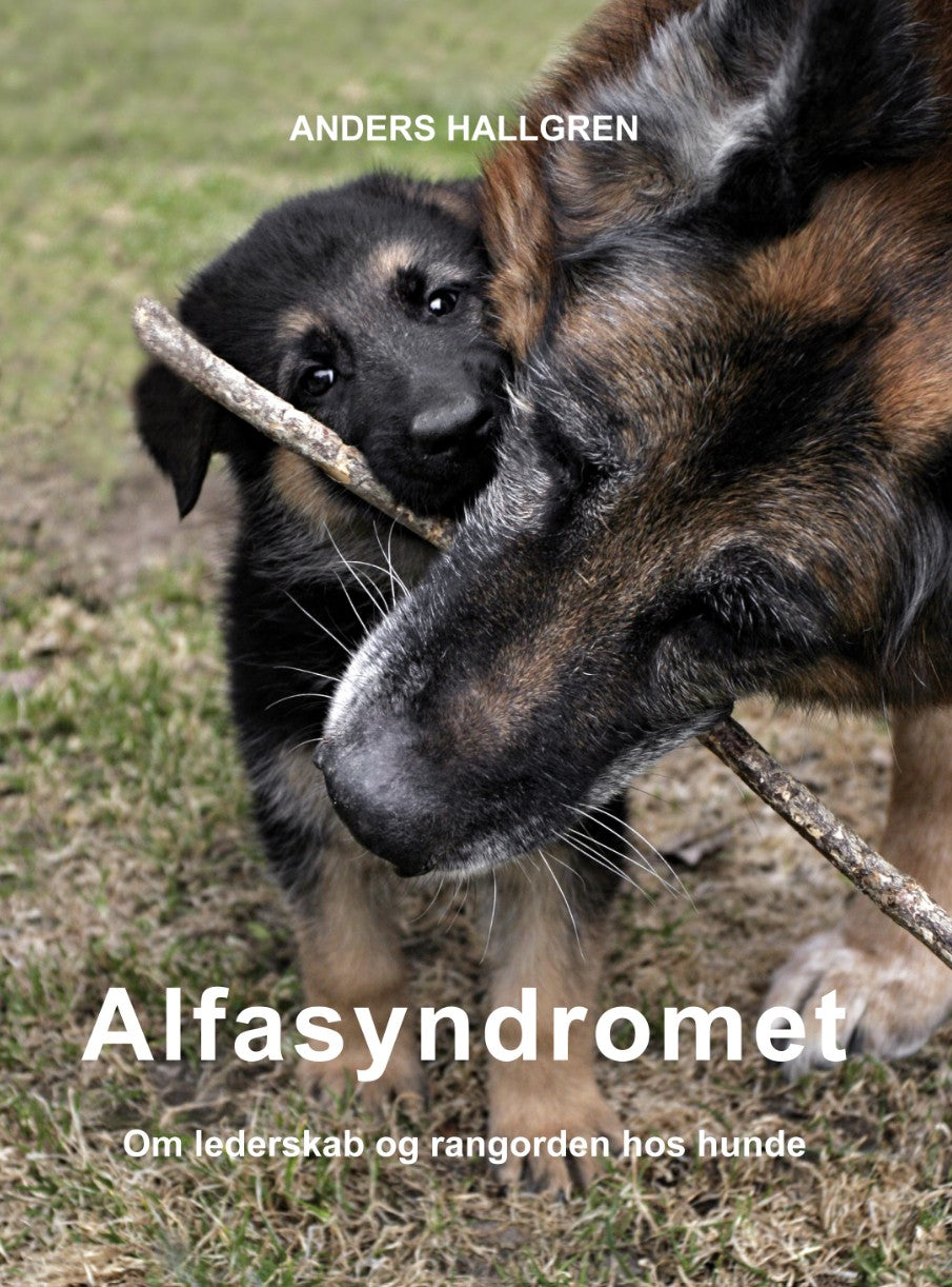 Alfasyndromet - om lederskab og rangorden hos hunde
