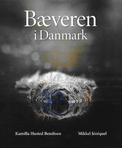 Bæveren i Danmark