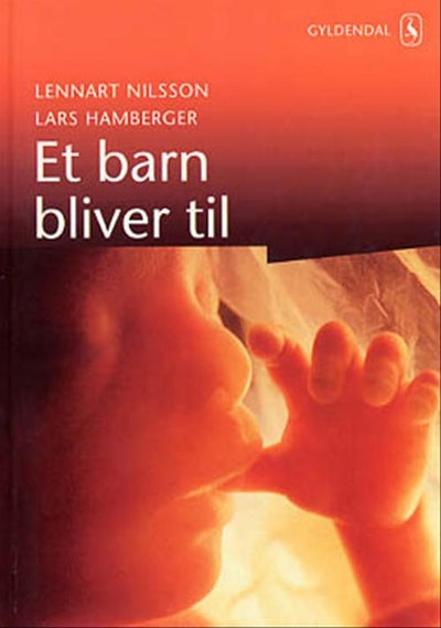 Et barn bliver til