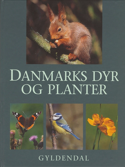 Danmarks dyr og planter
