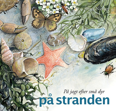 På jagt efter små dyr - på stranden