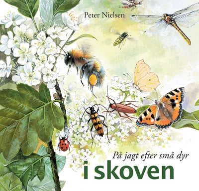 På jagt efter små dyr - i skoven