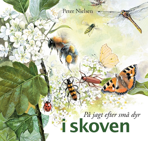 På jagt efter små dyr - i skoven