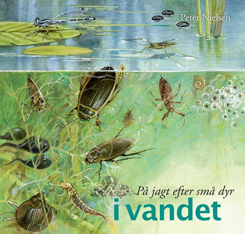 På jagt efter små dyr  - i vandet