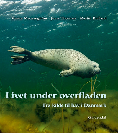 Livet under overfladen