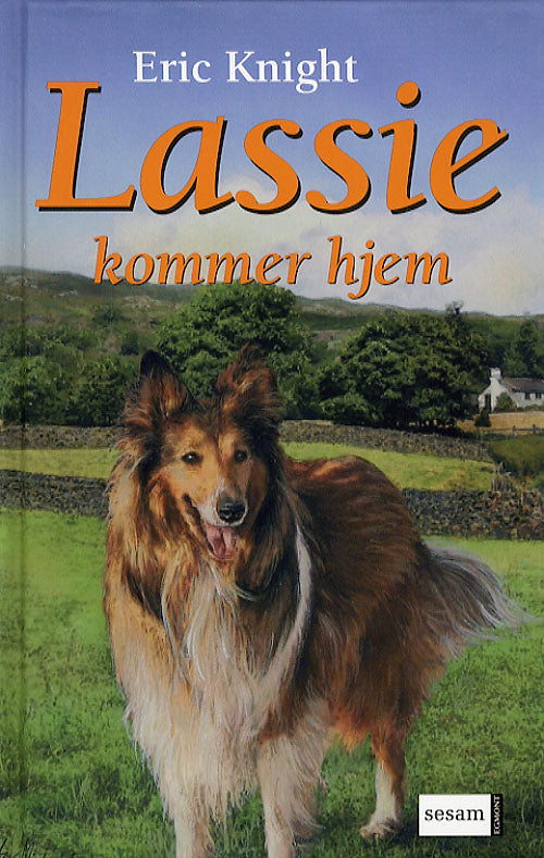 Lassie kommer hjem