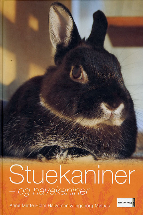 Stuekaniner - og havekaniner