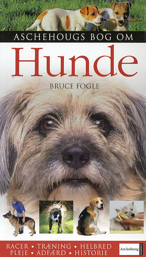Hunde
