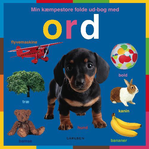 Min kæmpestore folde ud-bog med ord