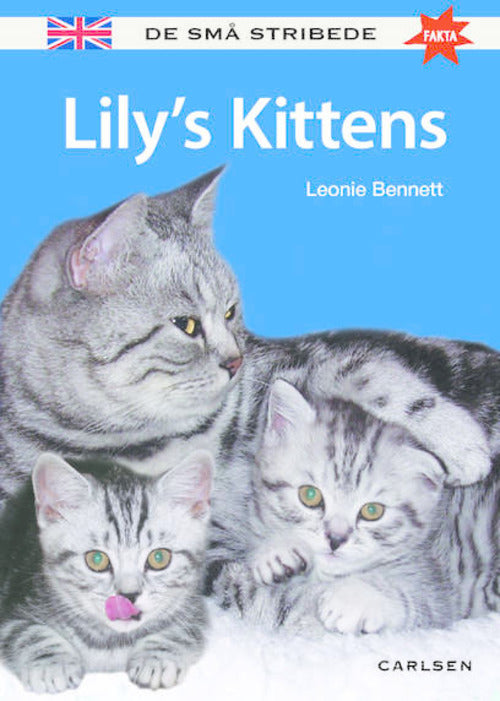 De små stribede FAKTA LILY'S KITTENS