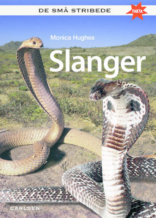 De små stribede FAKTA SLANGER