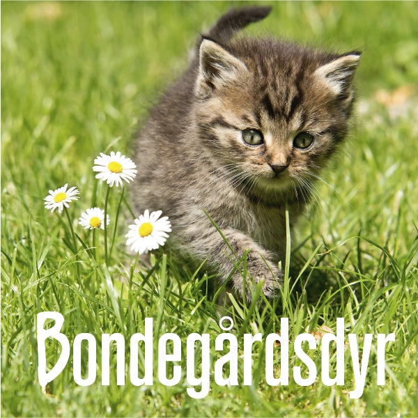 Bondegårdsdyr
