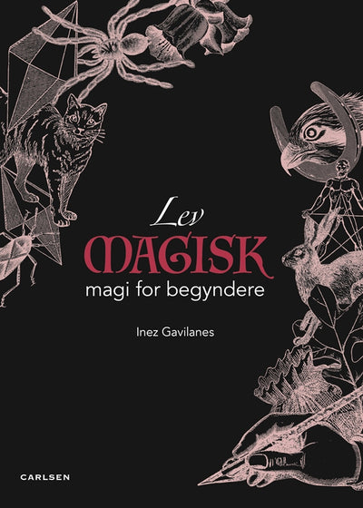 Lev magisk - en magibog for begynder