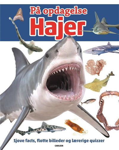 På opdagelse! - Hajer