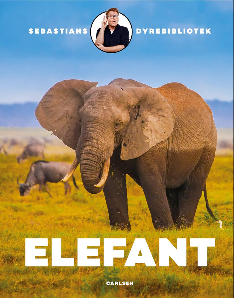 Sebastians dyrebibliotek: Elefant