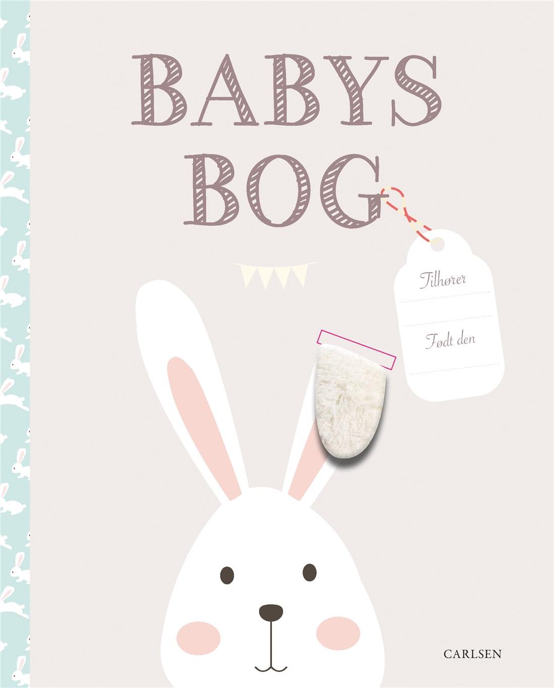Babys bog - en bog om barnets første år