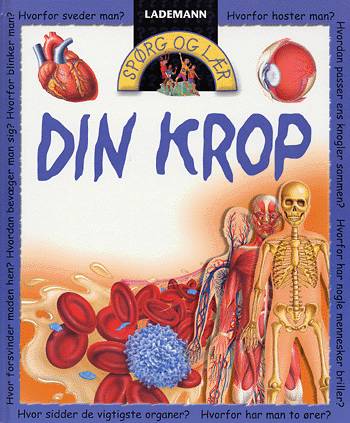 Din krop