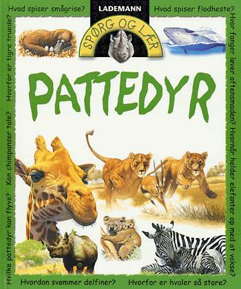 Pattedyr