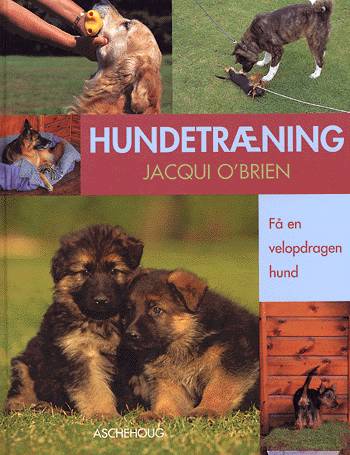 Hundetræning