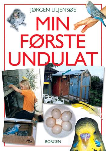 Min første undulat