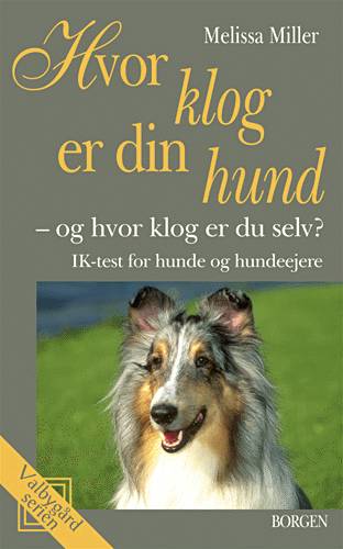 Hvor klog er din hund? - og hvor klog er du selv?