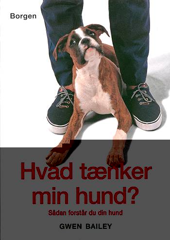 Hvad tænker min hund?