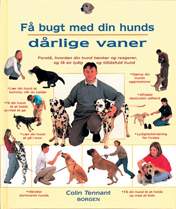 Få bugt med din hunds dårlige vaner